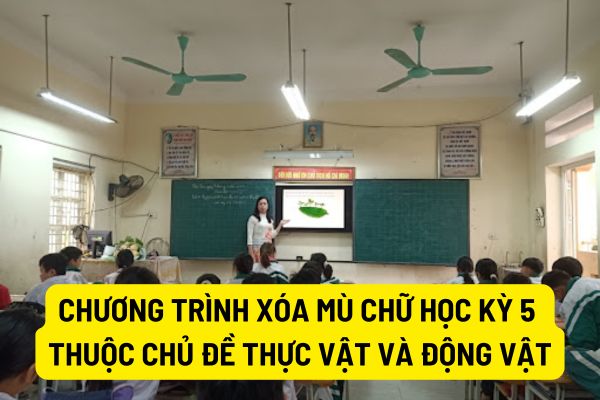 Nội dung và yêu cầu trong giáo dục môn khoa học Chương trình xóa mù chữ học kỳ 5 thuộc chủ đề thực vật và động vật là gì?