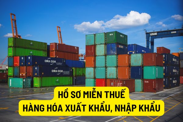 Hồ sơ miễn thuế đối với hàng hóa xuất khẩu, nhập khẩu được kiểm tra tính hợp lệ và đầy đủ như thế nào?