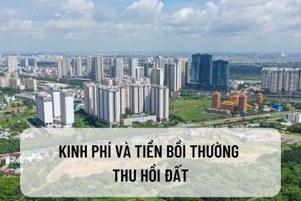 thuviennhadat.vn