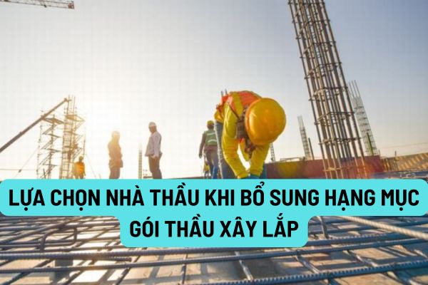 thuviennhadat.vn