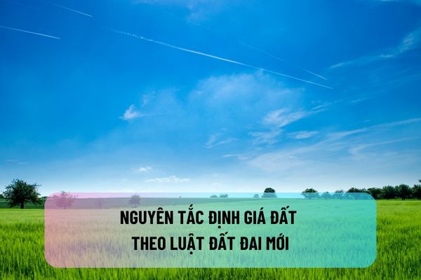 Nguyên tắc định giá đất theo Luật Đất đai mới là gì? Có bao nhiêu căn cứ định giá đất?