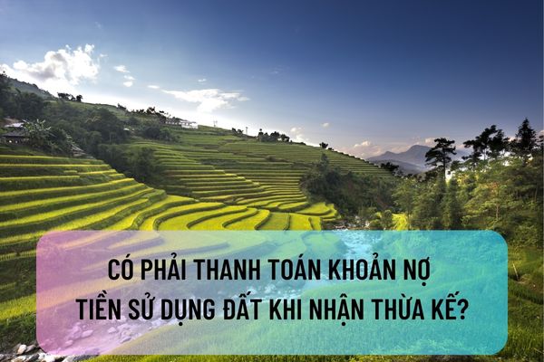 thuviennhadat.vn