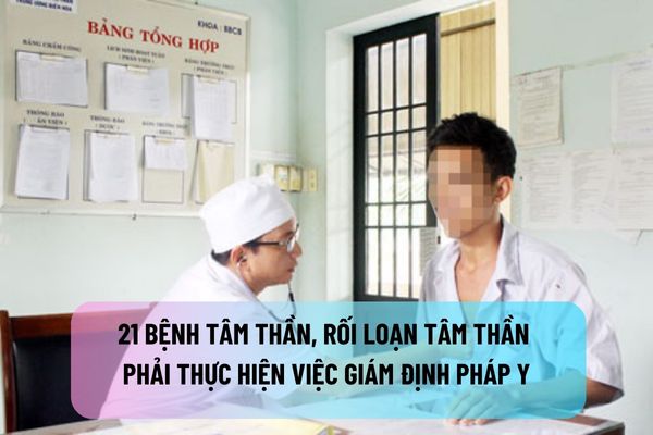 thuviennhadat.vn