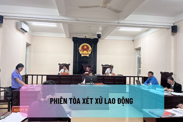 Phiên tòa xét xử lao động có buộc HTND phải công tác trong tổ chức đại diện tập thể lao động không?