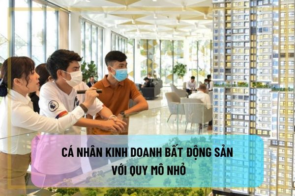 Cá nhân kinh doanh bất động sản với quy mô nhỏ có phải thành lập doanh nghiệp kinh doanh bất động sản không?