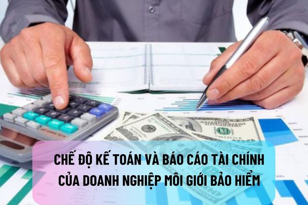 Nhân sự, vốn, tài chính, chế độ kế toán và báo cáo tài chính của doanh nghiệp môi giới bảo hiểm được quy định như thế nào?