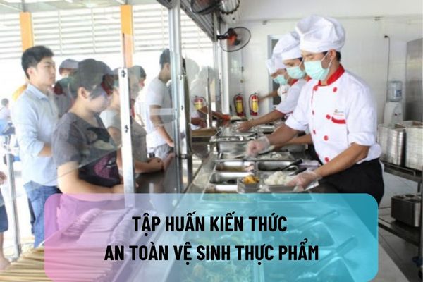 thuviennhadat.vn