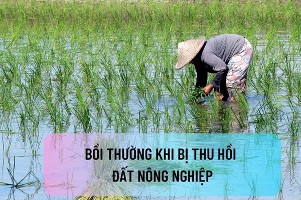 Đất nông nghiệp là gì? Khi bị thu hồi được bồi thường như thế nào theo Luật đất đai 2024?