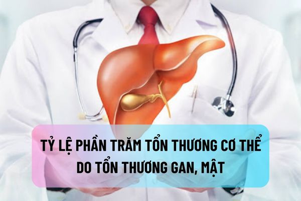 thuviennhadat.vn