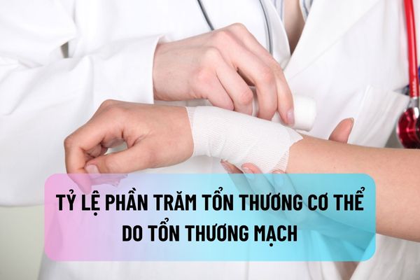 thuviennhadat.vn