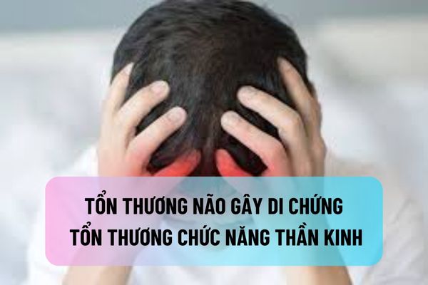 thuviennhadat.vn