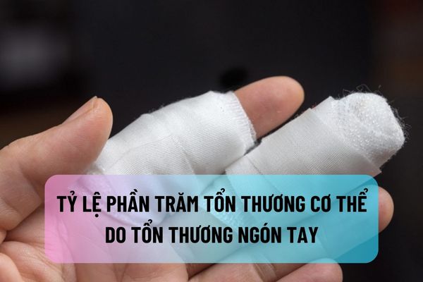 thuviennhadat.vn