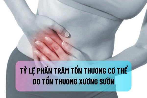 thuviennhadat.vn