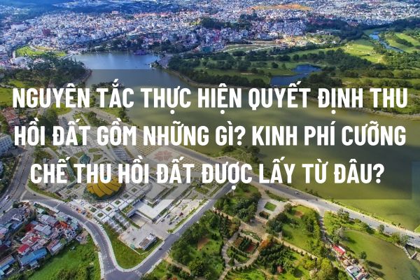 thuviennhadat.vn