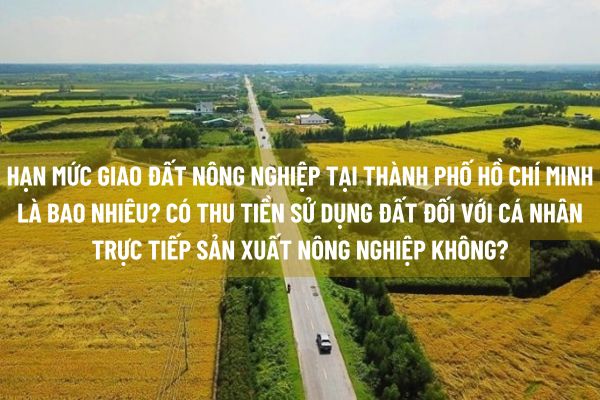 Hạn mức giao đất nông nghiệp tại Thành phố Hồ Chí Minh là bao nhiêu? Có thu tiền sử dụng đất đối với cá nhân trực tiếp sản xuất nông nghiệp không?