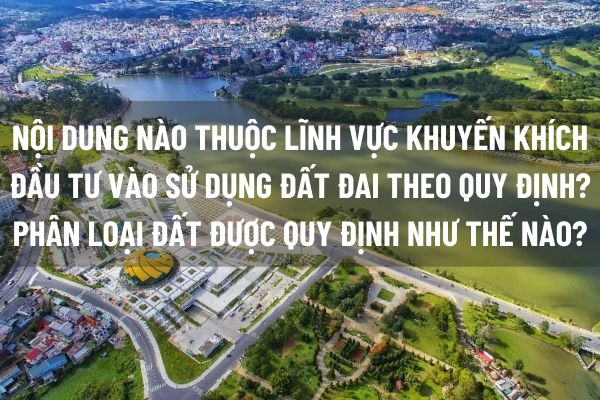 thuviennhadat.vn