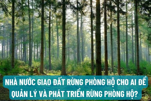 thuviennhadat.vn