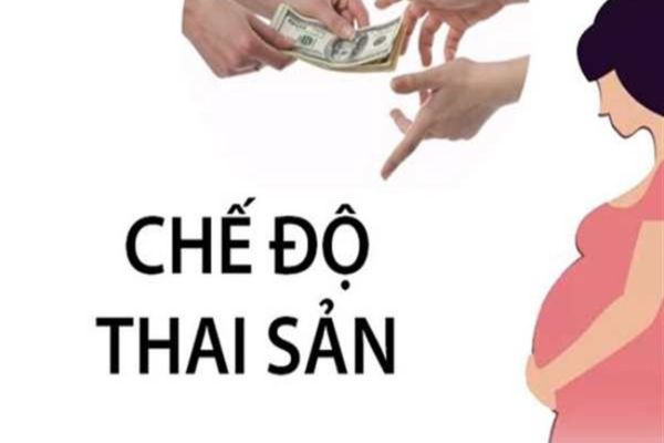 thuviennhadat.vn