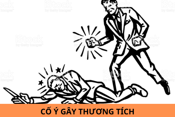 thuviennhadat.vn