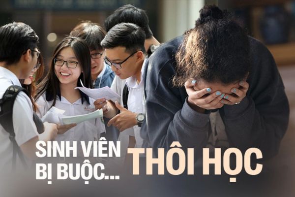 thuviennhadat.vn