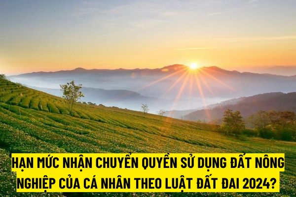 thuviennhadat.vn