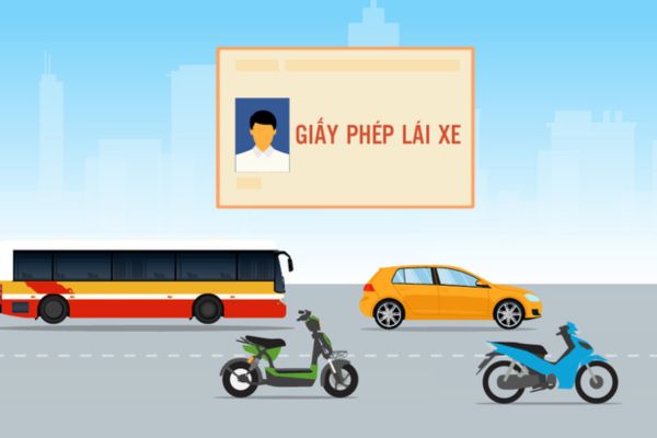 Những trường hợp nào thì người có giấy phép lái xe được đổi, cấp lại giấy phép lái xe từ ngày  01/01/2025?