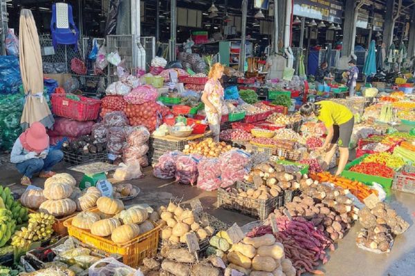 Đất chợ đầu mối thuộc trường hợp Nhà nước giao đất không thu tiền sử dụng đất hay trường hợp Nhà nước cho thuê đất?