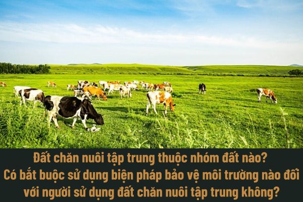 thuviennhadat.vn