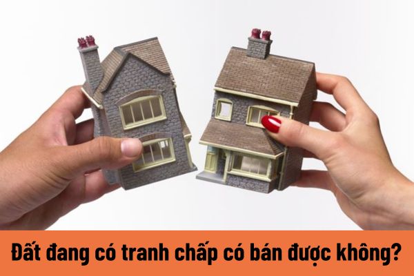 Thế nào là đất đang có tranh chấp? Đất đang tranh chấp có bán được không?