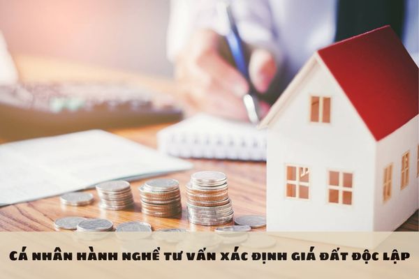 Cá nhân hành nghề tư vấn xác định giá đất độc lập không trong tổ chức tư vấn xác định giá đất sẽ bị phạt tiền bao nhiêu? 