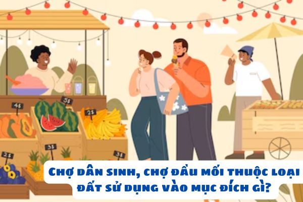 Chợ dân sinh, chợ đầu mối thuộc loại đất sử dụng vào mục đích gì? Chợ dân sinh, chợ đầu mối được phân loại theo phương thức kinh doanh như thế nào?