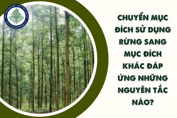 Chuyển mục đích sử dụng rừng sang mục đích khác đáp ứng những nguyên tắc nào? Điều kiện chuyển mục đích sử dụng rừng sang mục đích khác như thế nào?