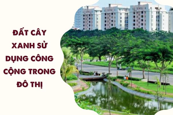 Đất cây xanh sử dụng công cộng trong đô thị  là đất gì?