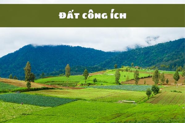 Đất công ích là gì? Thời hạn sử dụng đất đối công ích với mỗi lần thuê là bao lâu?