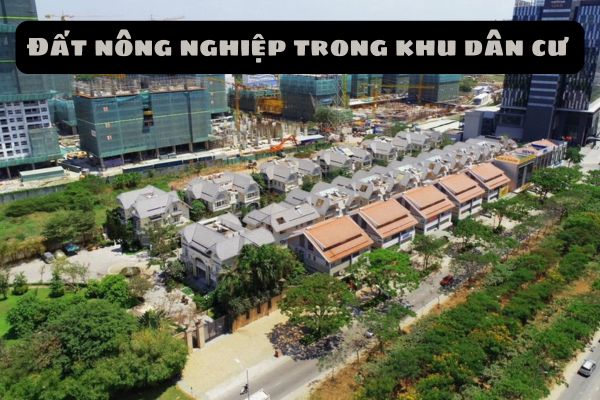 Đất nông nghiệp trong khu dân cư thuộc nhóm đất nào? Để chuyển mục đích sử dụng đất nông nghiệp trong khu dân cư phải căn cứ vào đâu? 