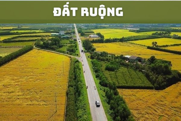 Đất ruộng là đất gì? Hạn mức giao đất ruộng được quy định như thế nào?