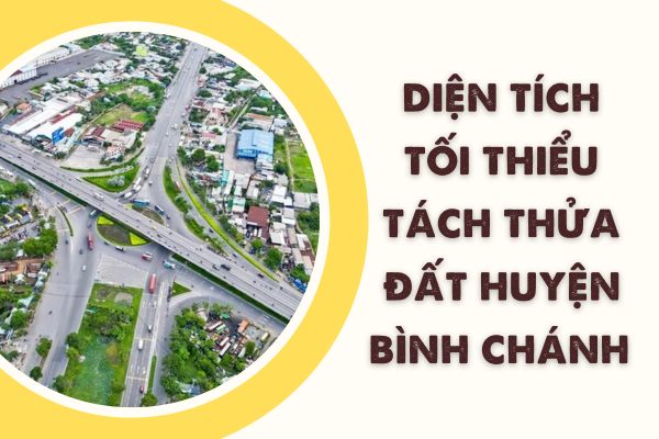 thuviennhadat.vn