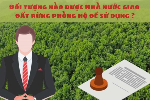 Đối tượng nào được Nhà nước giao đất rừng phòng hộ để sử dụng ?