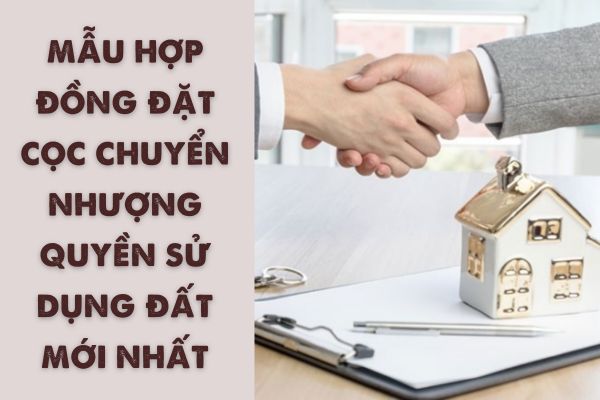 Mẫu hợp đồng đặt cọc chuyển nhượng quyền sử dụng đất mới nhất