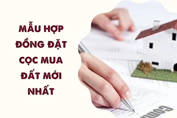 Mẫu hợp đồng đặt cọc mua đất mới nhất năm 2024