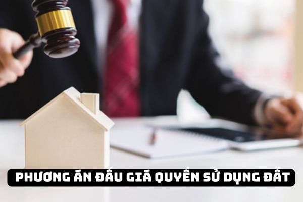 Ai phê duyệt phương án đấu giá quyền sử dụng đất? Người trúng đấu giá quyền sử dụng đất nộp tiền sử dụng đất theo thông báo của ai?