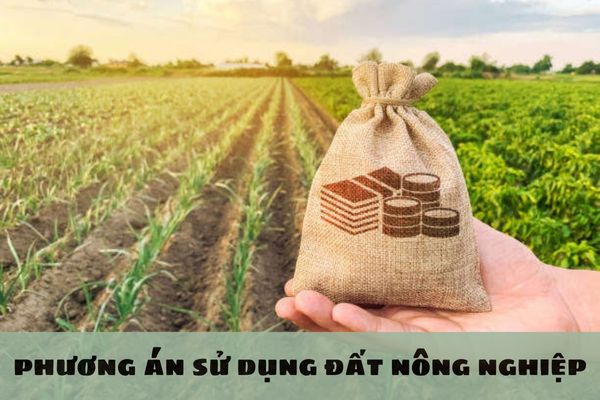 Không có phương án sử dụng đất khi tổ chức kinh tế nhận chuyển nhượng quyền sử dụng đất nông nghiệp sẽ bị xử phạt như thế nào?