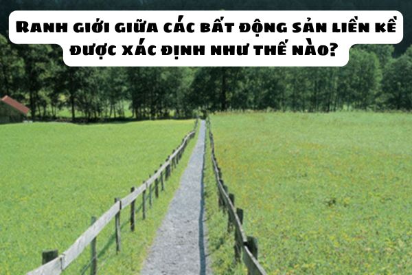 Ranh giới giữa các bất động sản liền kề được xác định như thế nào? Chấm dứt quyền đối với bất động sản liền kề trong trường hợp nào?