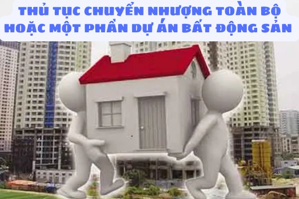 thuviennhadat.vn