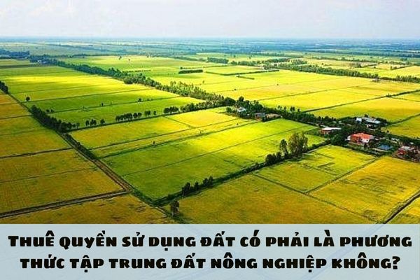 Thuê quyền sử dụng đất có phải là phương thức tập trung đất nông nghiệp không?