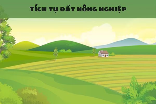 Tổ chức kinh tế thực hiện tích tụ đất nông nghiệp thông qua các phương thức nào?