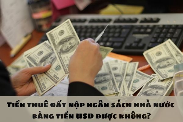 Tiền thuê đất nộp ngân sách nhà nước bằng tiền USD được không?