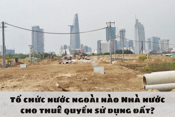 Tổ chức nước ngoài nào Nhà nước cho thuê quyền sử dụng đất?