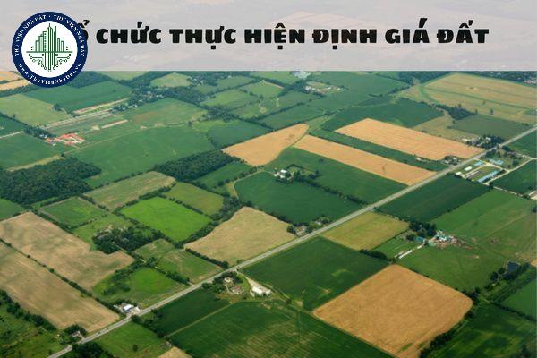 Tổ chức thực hiện định giá đất là gì? Tổ chức thực hiện định giá đất tiến hành xây dựng bảng giá đất như thế nào?