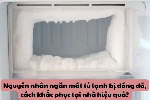 Nguyên nhân ngăn mát tủ lạnh bị đóng đá, cách khắc phục tại nhà hiệu quả?